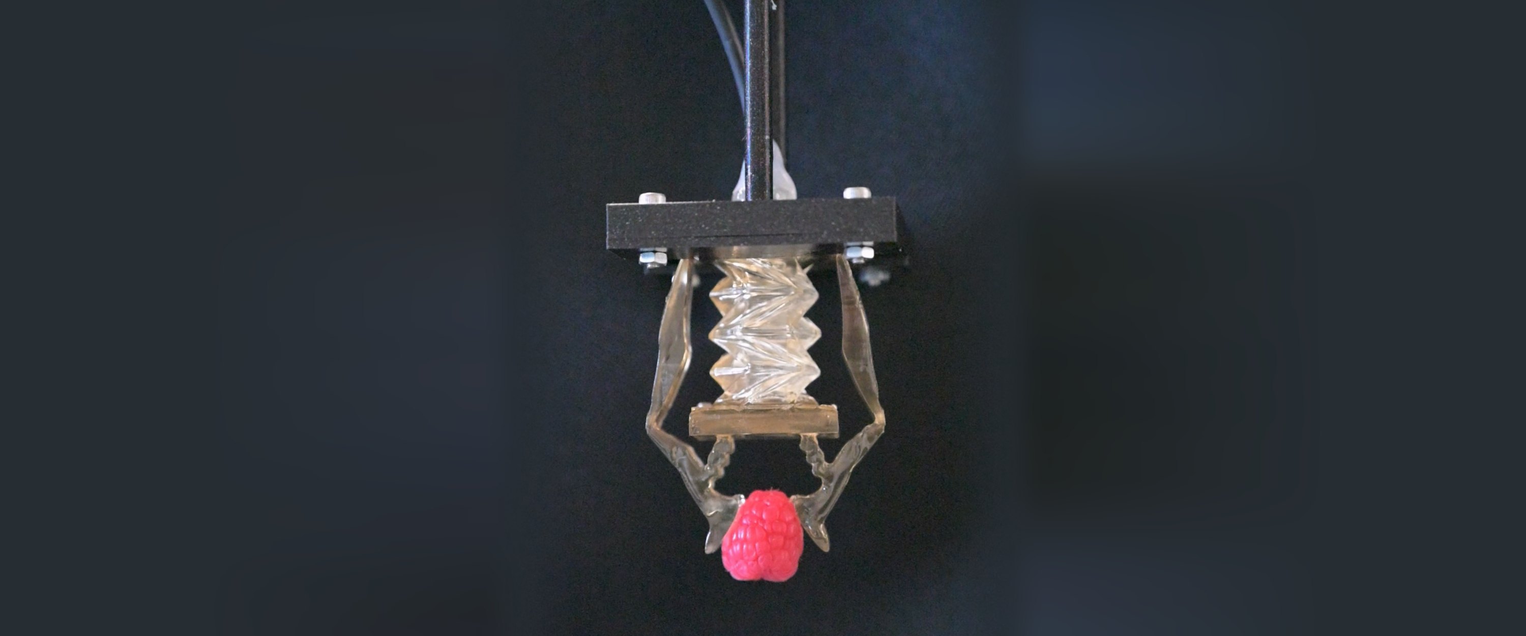 Origami soft gripper holding a raspberry