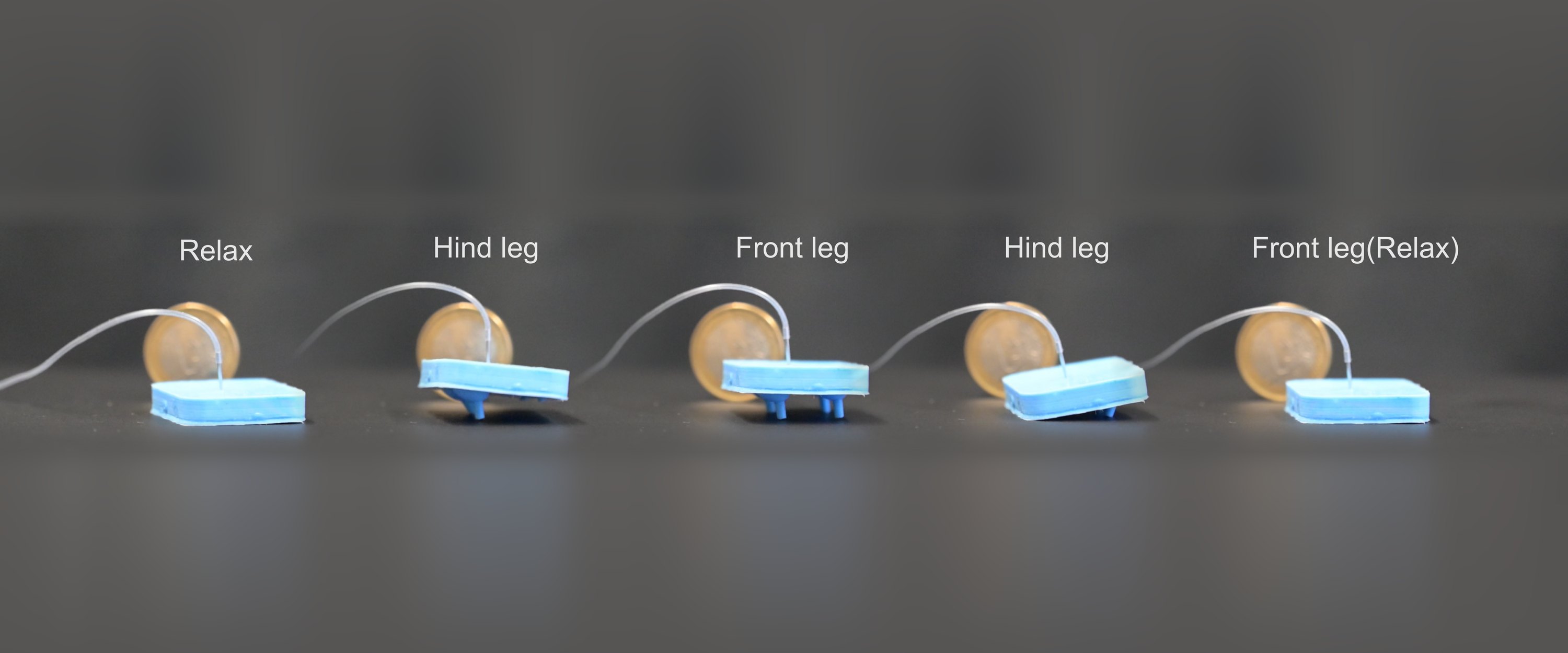 Soft quadruped walking sequence